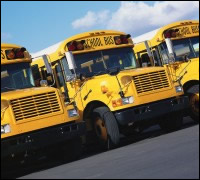 photo of school buses