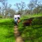 Hikers on the Yana Trail - SRBA