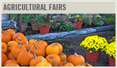 Agricultural Fairs