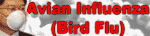 Avian Influenza (bird flu)