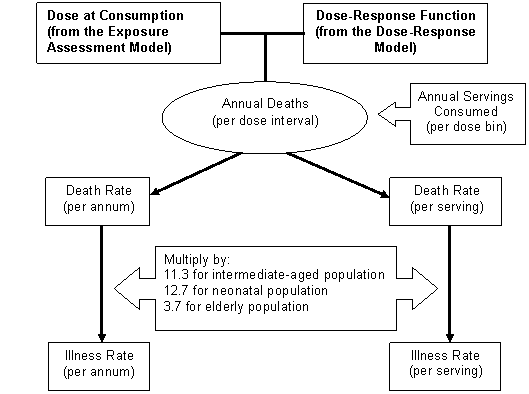 Figure V-1: Flow chart showing components of Risk Characterization Model and link to long description