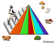 Illustration of the food guide pyramid