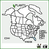 Distribution of Panicum dichotomiflorum Michx. var. bartowense (Scribn. & Merr.) Fernald. . Image Available. 