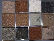 Samples of soil exhibiting distinct macroscopic differences in color and texture