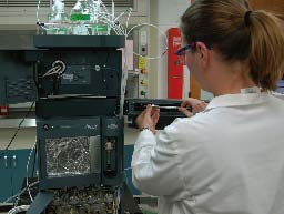 A Visiting Scientist performs research to extend the time window for detecting drug use from the analysis of hair samples.