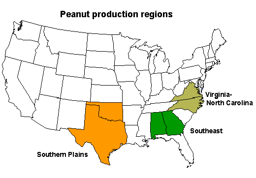 Peanut production regions