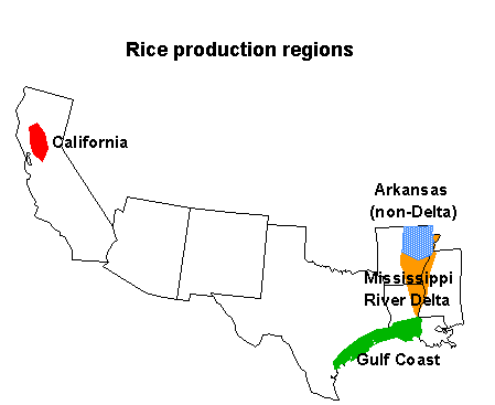 Rice production regions