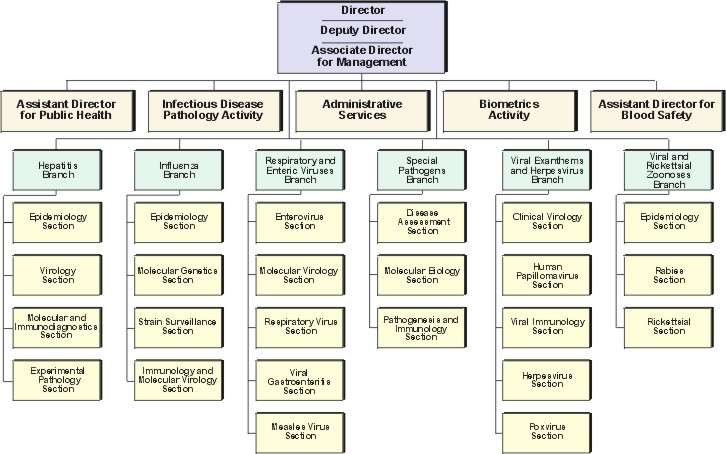 DVRD organization chart