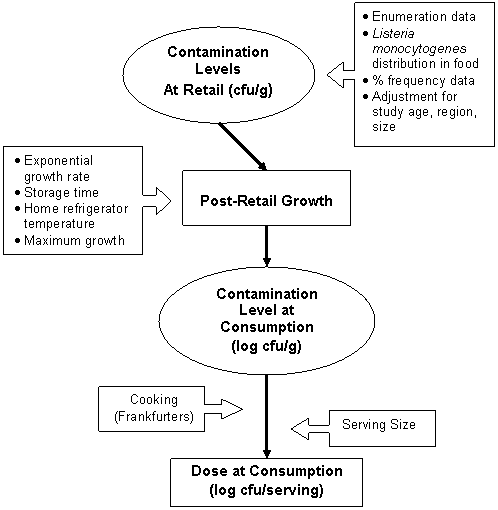 Figure III-1 Components of the Exposure Assessment Model--Flowchart showing relationship of components and link to long description