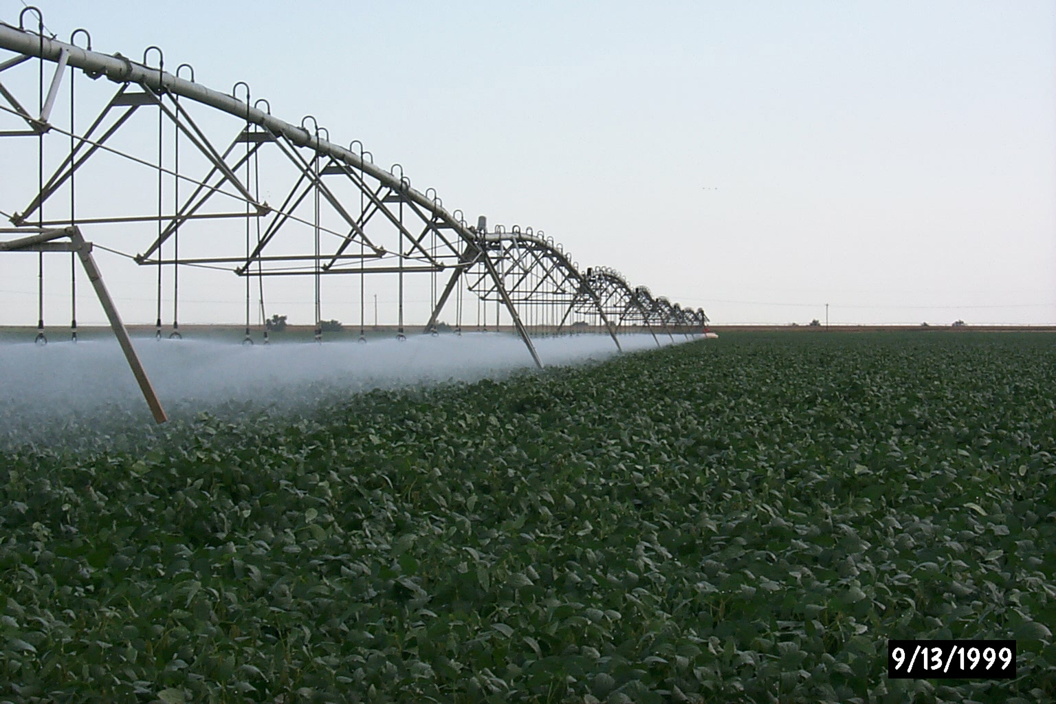 Suspended sprinkler nozzles