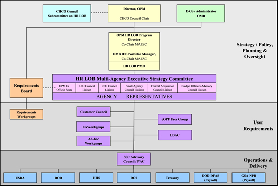 Figure 1:  HR LOB Governance Structure