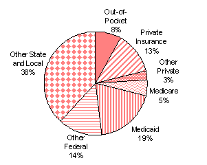 Distribution of SA Expenditures by Payer, 2001