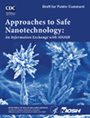 approaches to safe nanotechnology document cover