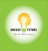 Energy Future - Energy Efficiency Report