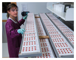 CDC laboratorian stacking racks of blood spot cards to dry so they can be used in quality assurance and proficiency tests.