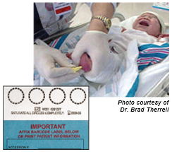 Photo of health care professional collecting blood from a newborn by using a heel stick