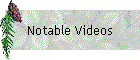 Notable Videos