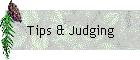Tips & Judging