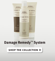 Damage Remedy™ System. shop the collection