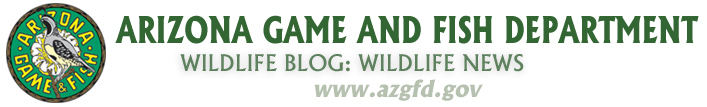 Arizona Game and FIsh Department - Managing Today for Wildlife Tomorrow: azgfd.gov