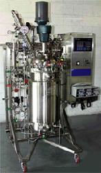 Bioreactor for influenza  vaccine manufacturing