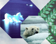 Climate Change Project image
