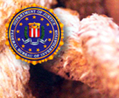 Photograph of the FBI seal and rope in the background.
