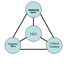 Radial Diagram