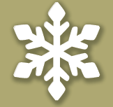 Winter Map Snowflake