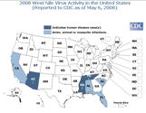 2008 West Nile Virus Activity in the United States