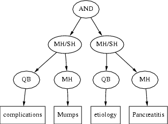 Diagram of expression tree
