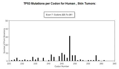 Mutation Profile for a Single Exon