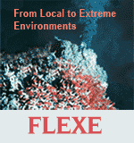 FLEXE Logo