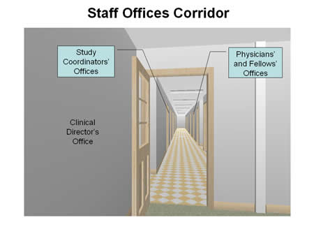 Staff Offices Corridor