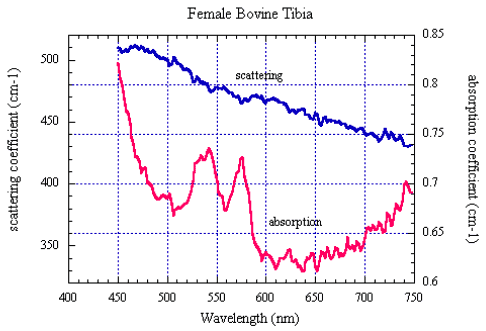 Figure 5 is a graph of bemale bovine Tibia.  There are lines on the graph representing the scattering coefficient in cm-1 and the absorption coefficient in cm-1.  The horizontal axis has the wavelength in nm