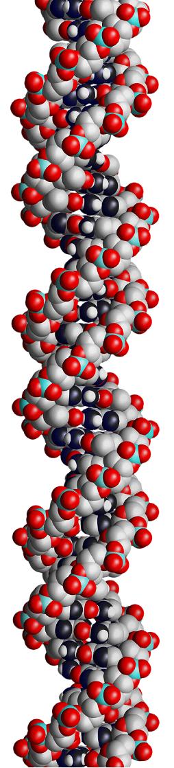 DNA Strand