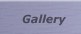 Gallery Link