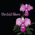 20th Annual Cape & Islands Orchid Show