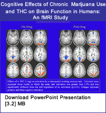 Link - PowerPoint presentation: Effects of Chronic Marijuana Use and THC on Brain Function in Humans: An fMRI Study