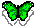 greenbfly.gif