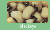 Blackeye