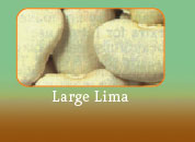 Large Limas