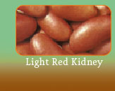 Light Kidney Beans