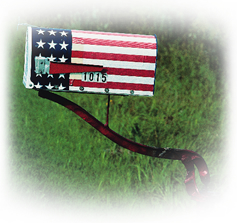 Image of a U.S. Flag mailbox