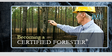 Becoming a Certified Forester