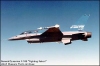 General Dynamics F-16B Fighting Falcon