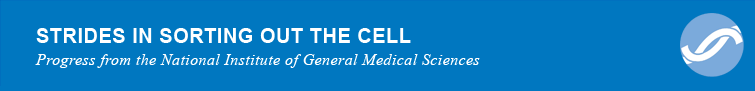 Strides in sorting out the cell - Progress from the National Institute of General Medical Sciences