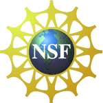 NSF
logo, white letters on black center