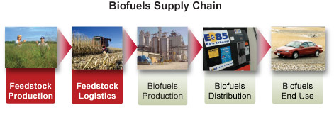 Biomass to Biofuels supply chain diagram with red highlight of feedstock production and logistics segments. Feedstock production (photo of two men in a field of switchgrass) leads to feedstock logistics (photo of combine harvester in corn field), which leads to biofuels production (photo of biorefinery), which leads to biofuels distribution (photo of fuel pump for E85), which leads to biofuels end use (photo of car).