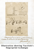 Illustration showing Vucetich's fingerprint technique. Courtesy Direcciòn Museo Policial–Ministerio de Seguridad de la Provincia de Buenos Aires, Argentina